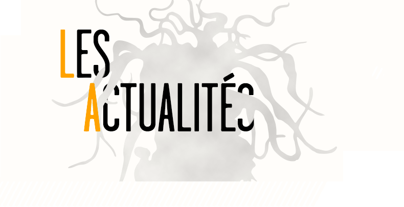 Les Actualités